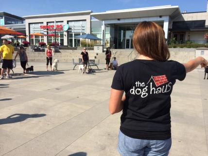 10421542_10100672663944740_4841631212876168563_n