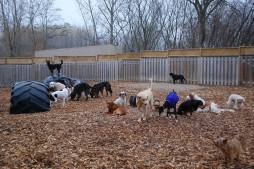 10572203_987421187950405_6479738509060605040_o