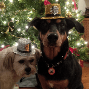 Screen Shot 2015-01-01 at 8.51.53 AM