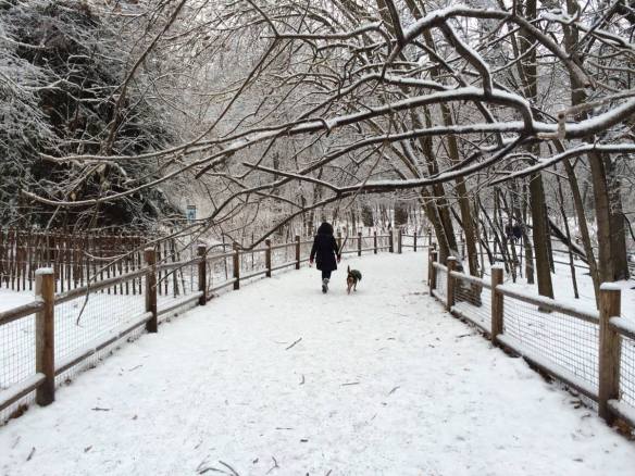 1502314_10100517782698000_1071630148_o